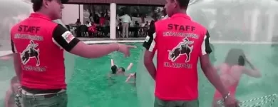 La imagen 1 de la Empresa RENTA DE TORO MECANICO EN VERACRUZ Organización y Realización de Fiestas y Eventos en Veracruz VER