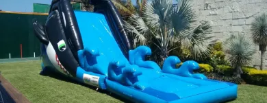 La imagen 2 de la Empresa RENTA DE TORO MECANICO EN VERACRUZ Organización y Realización de Fiestas y Eventos en Veracruz VER