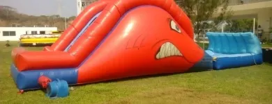 La imagen 9 de la Empresa RENTA DE TORO MECANICO EN VERACRUZ Organización y Realización de Fiestas y Eventos en Veracruz VER