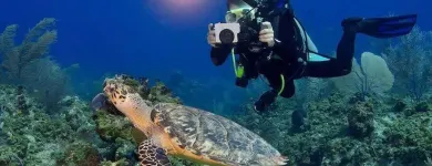 La imagen 3 de la Empresa SERVICIO TECNICO SCUBA Servicios Profesionales y de Negocios en Puerto Vallarta JAL