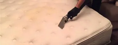 La imagen 1 de la Empresa SHINE CLEANERS Servicios Profesionales y de Negocios en Zapopan JAL