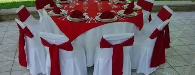 La imagen 5 de la Empresa SURTI FIESTAS Arte, Entretenimiento y Vida Nocturna en Zapopan JAL
