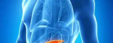 La imagen 1 de la Empresa TERESITA ESCALONA FLORES ENDOCRINÓLOGA Salud y Medicina en Cuautitlan Izcalli CMX