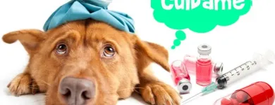 La imagen 3 de la Empresa UNIDAD VETERINARIA METROPOLITANA Tiendas de mascotas en Acapulco De Juárez GRO