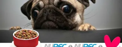 La imagen 4 de la Empresa UNIDAD VETERINARIA METROPOLITANA Tiendas de mascotas en Acapulco De Juárez GRO