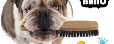 La imagen 5 de la Empresa UNIDAD VETERINARIA METROPOLITANA Tiendas de mascotas en Acapulco De Juárez GRO