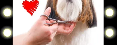 La imagen 6 de la Empresa UNIDAD VETERINARIA METROPOLITANA Tiendas de mascotas en Acapulco De Juárez GRO