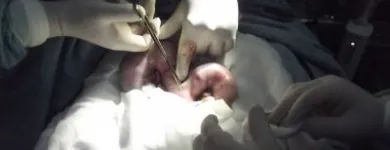 La imagen 21 de la Empresa VETERINARIA TEPEYAC Salud y Medicina en Ciudad De México CMX