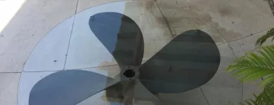 La imagen 12 de la Empresa VIVG5501092WA Servicios Profesionales y de Negocios en Acapulco De Juárez GRO
