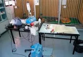 La imagen 3 de la Empresa HOSP VETERINARIO ESTÉTICA CANINA TREVIÑO