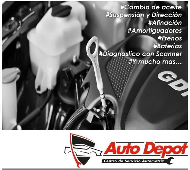 La imagen 1 de la Empresa AUTO DEPOT