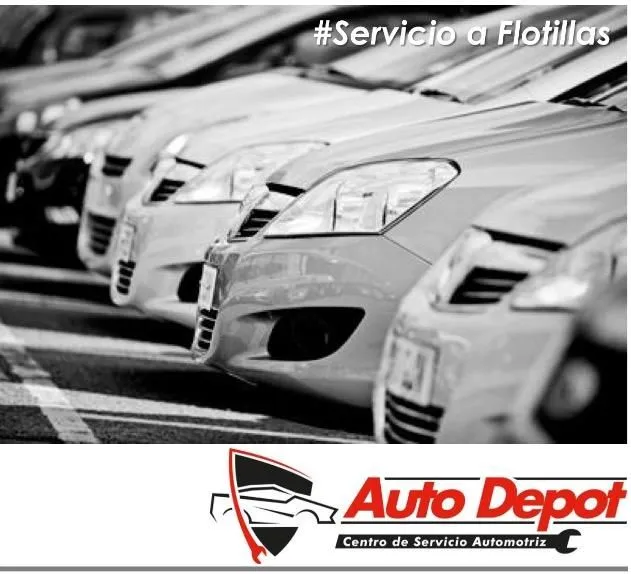 La imagen 2 de la Empresa AUTO DEPOT