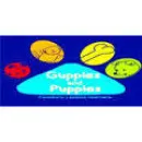 GUPPIES AND PUPPIES Tiendas de mascotas en Soledad De Graciano Sánchez SLP