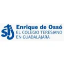 COLEGIO ENRIQUE DE OSSO AC Escuelas en Guadalajara JAL