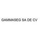 GAMMA SEG SA DE CV Servicios Profesionales y de Negocios en Irapuato GUA