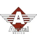 AMITAL, S.A. DE C.V Servicios Profesionales y de Negocios en León De Los Aldama GUA