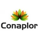 CONAPLOR SPR DE RL Industrias y Agricultura en Cuautla De Morelos MOR