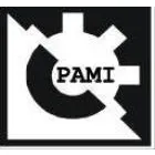 PAMI. SA DE CV