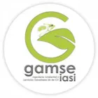 GAMSE INGENIERIA AMBIENTAL Y SERVICIOS INDUSTRIALES S.A DE C.V.