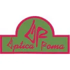 ÓPTICAS ROMA