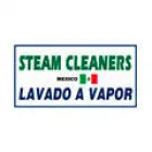 STEAM CLEANERS