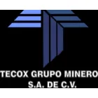 TECOX GRUPO MINERO S.A DE C.V