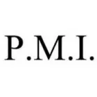 PMI COMERCIO INTERNACIONAL