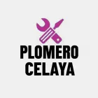PLOMERIA CELAYA