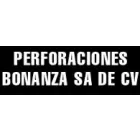 PERFORACIONES BONANZA SA DE CV