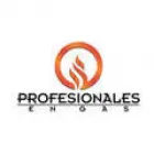 PROFESIONALES EN GAS