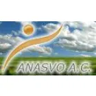 ASOCIACIÓN NACIONAL DE SERVICIO VOLUNTARIO A.C.