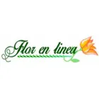 FLOR EN LINEA