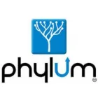 CORPORATIVO PHYLUM