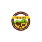 CARNICOS DEL SUR BECERRIL