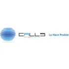 CALLS, S.A. DE C.V