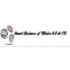 JJB SMART BUSINESS OF MEXICO SA DE CV