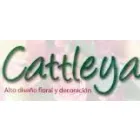 FLORERÍA CATTLEYA