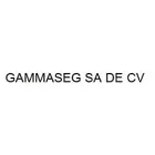 GAMMA SEG SA DE CV