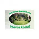 VIVEROS XOCHITL