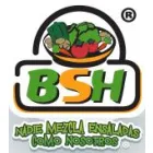BSH BLATT SALAT HAUS