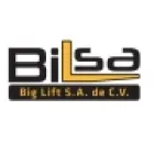 BIG LIFT S.A. DE C.V.