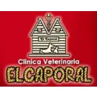 CLÍNICA VETERINARIA EL CAPORAL