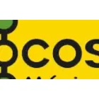 SERVICIOS CONSTRUCTORA COCOSA S.A DE C.V