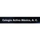 COLEGIO ACTIVO MEXICO A.C