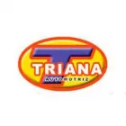 TRANSM AUTOM Y DIR HIDRÁULICAS TRIANA
