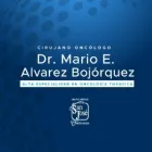 DR. MARIO ENRIQUE ALVAREZ BOJÓRQUEZ